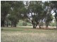 Lot 283 Old Wallendbeen Road, Stockinbingal NSW 2725