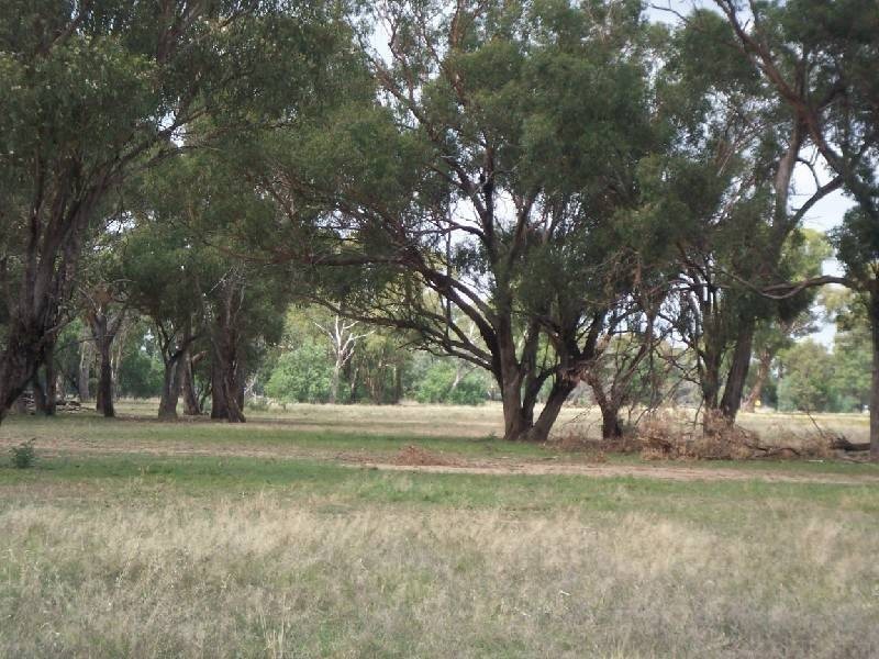 Lot 283 Old Wallendbeen Road, Stockinbingal NSW 2725