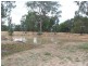 Lot 283 Old Wallendbeen Road, Stockinbingal NSW 2725