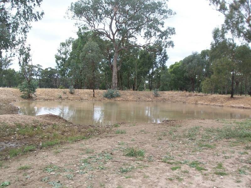 Lot 283 Old Wallendbeen Road, Stockinbingal NSW 2725