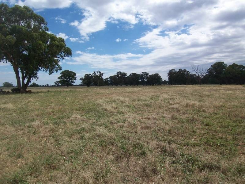 Lot 269 Old Wallendbeen Road, Stockinbingal NSW 2725