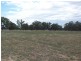 Lot 269 Old Wallendbeen Road, Stockinbingal NSW 2725