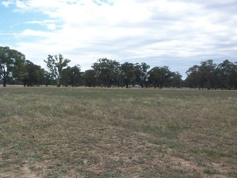 Lot 269 Old Wallendbeen Road, Stockinbingal NSW 2725