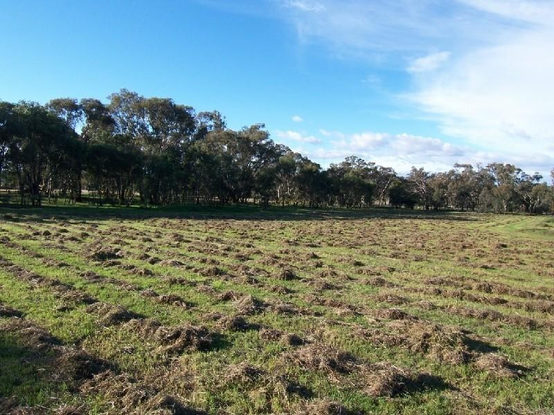 FRONTLOT 5 WARRALONG ROAD, Cootamundra NSW 2590