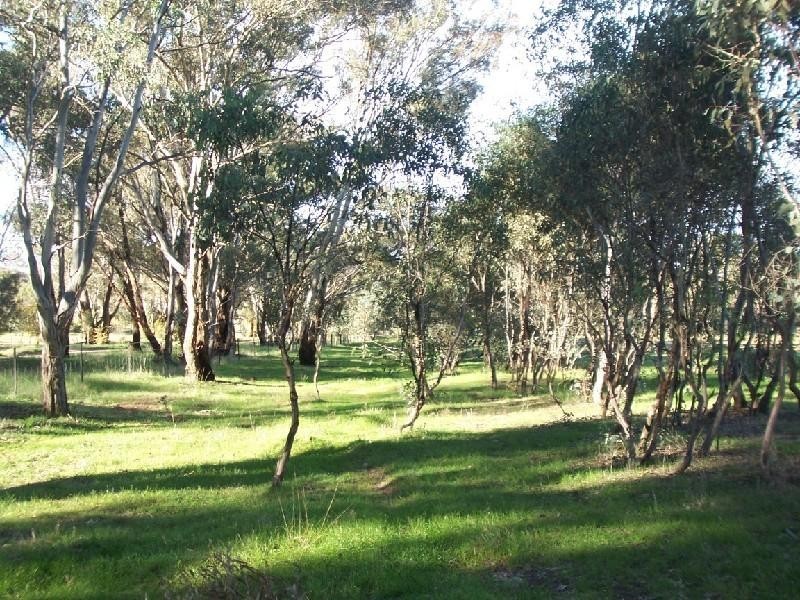 FRONTLOT 5 WARRALONG ROAD, Cootamundra NSW 2590
