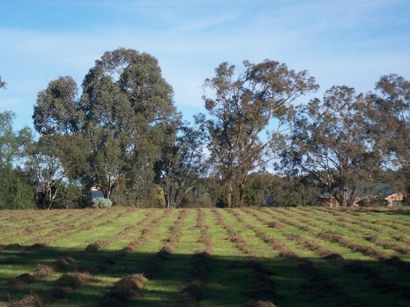 BACK LOT 6 WARRALONG ROAD, Cootamundra NSW 2590