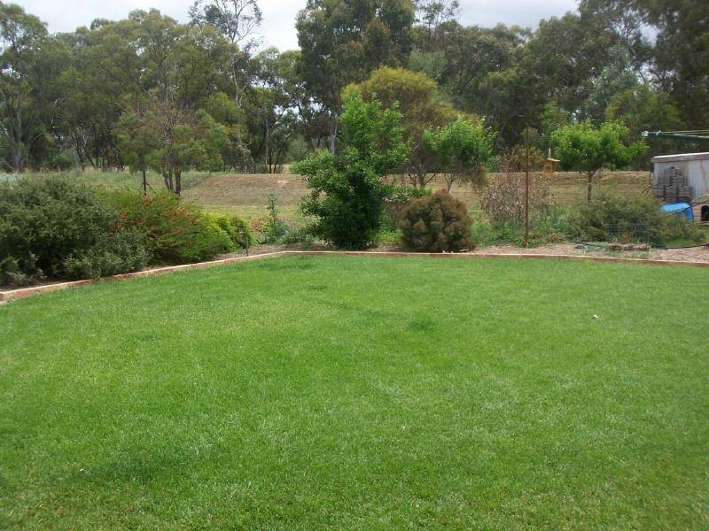 20 WOOD STREET, Temora NSW 2666