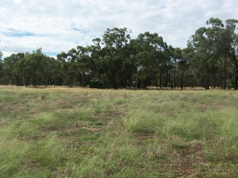 “OATBANK” GROGAN ROAD, Temora NSW 2666