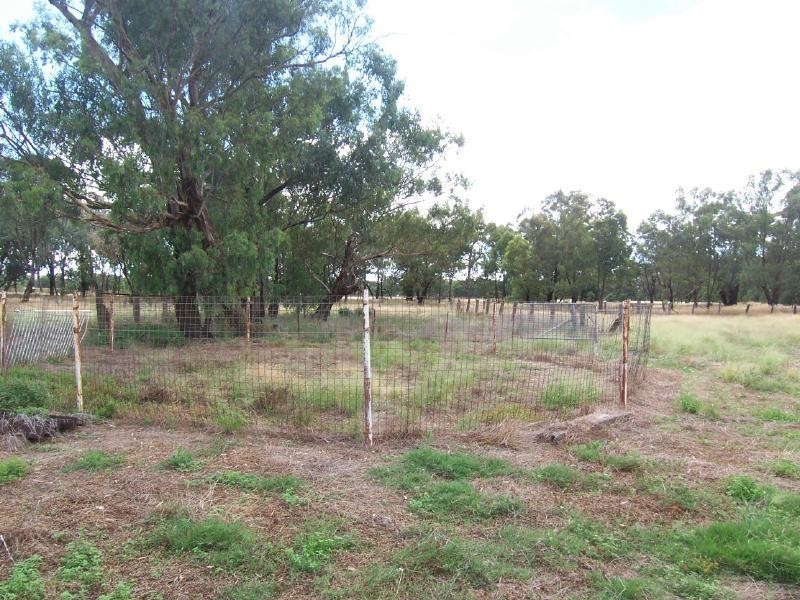 “OATBANK” GROGAN ROAD, Temora NSW 2666