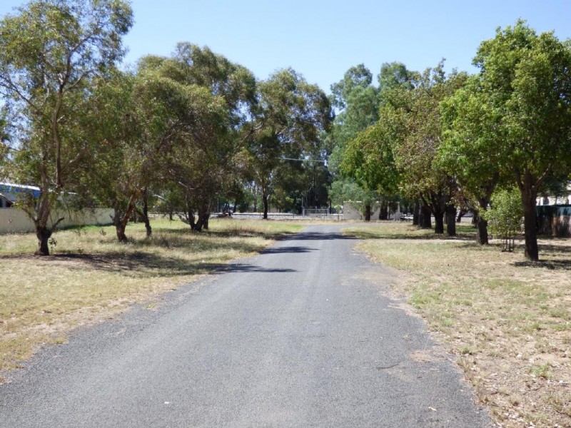 10 Adams Street, Stockinbingal NSW 2725