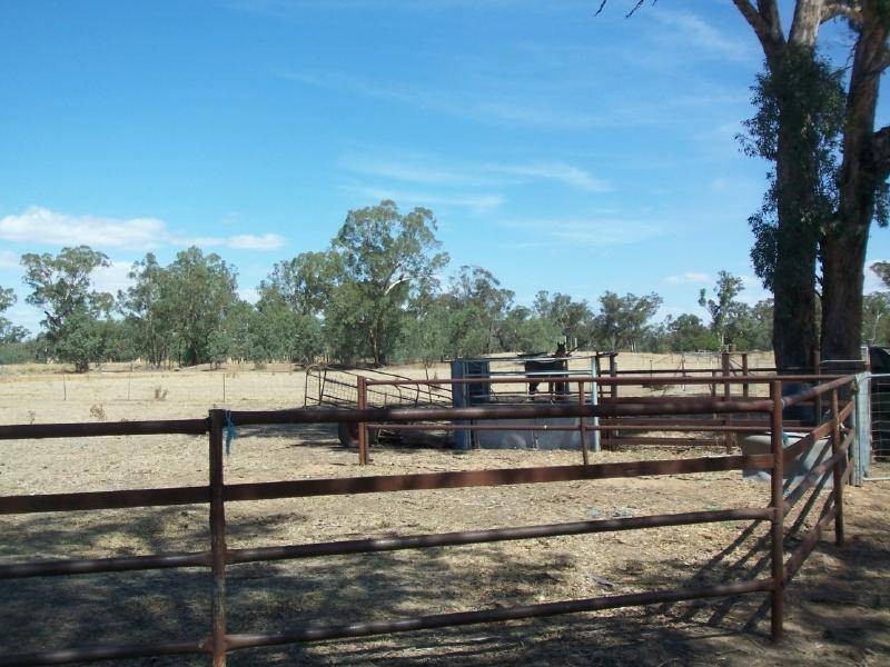 169 Old Wallendbeen Road, Stockinbingal NSW 2725