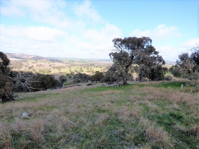 Lot 2 139 Salt Clay Road, Cootamundra NSW 2590