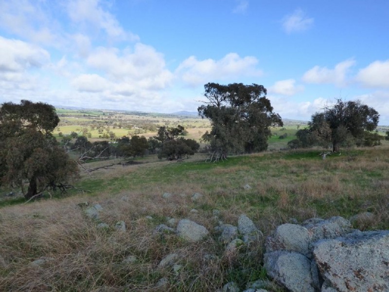 Lot 2 139 Salt Clay Road, Cootamundra NSW 2590