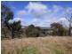Lot 2 139 Salt Clay Road, Cootamundra NSW 2590