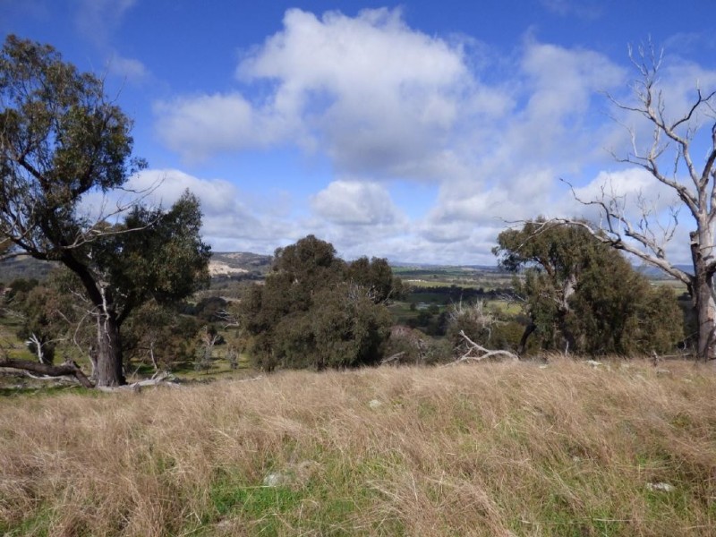 Lot 2 139 Salt Clay Road, Cootamundra NSW 2590