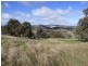 Lot 2 139 Salt Clay Road, Cootamundra NSW 2590