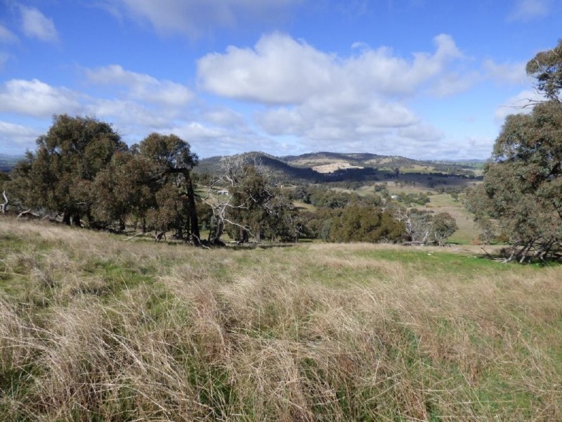 Lot 2 139 Salt Clay Road, Cootamundra NSW 2590