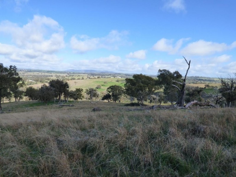 Lot 2 139 Salt Clay Road, Cootamundra NSW 2590