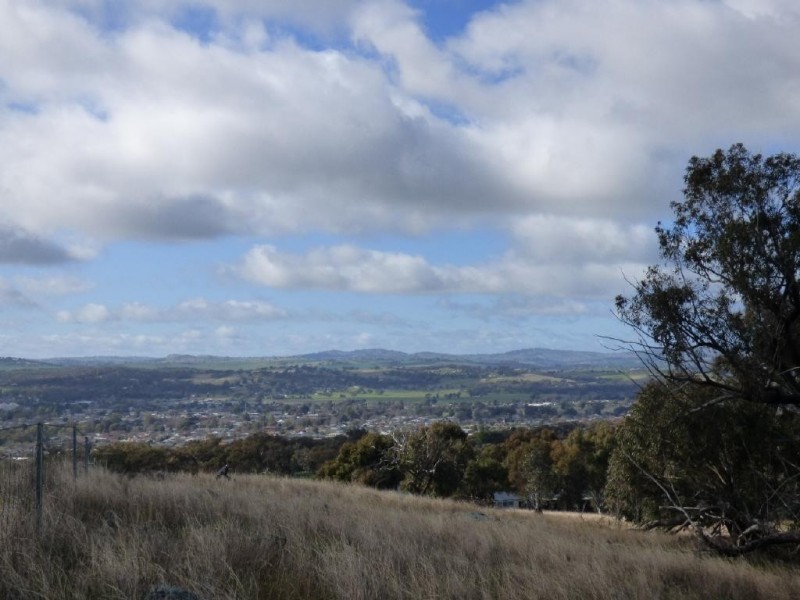 Lot 2 139 Salt Clay Road, Cootamundra NSW 2590