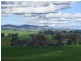 Netherleigh Lane, Cootamundra NSW 2590