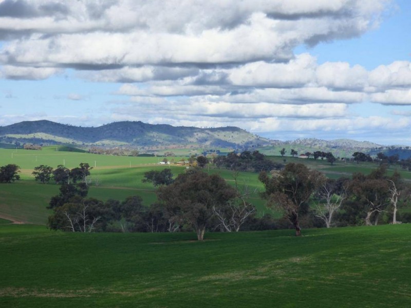 Netherleigh Lane, Cootamundra NSW 2590