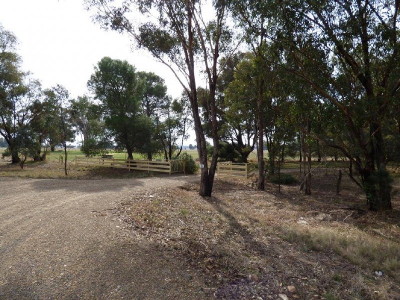 116 Grogan Road, Stockinbingal NSW 2725