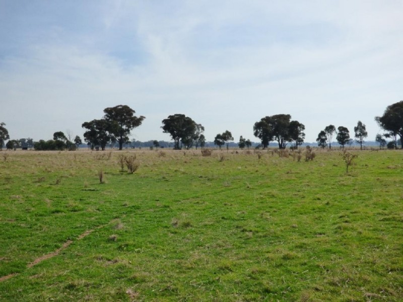 116 Grogan Road, Stockinbingal NSW 2725