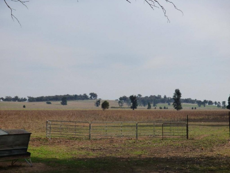 116 Grogan Road, Stockinbingal NSW 2725