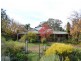 116 Grogan Road, Stockinbingal NSW 2725