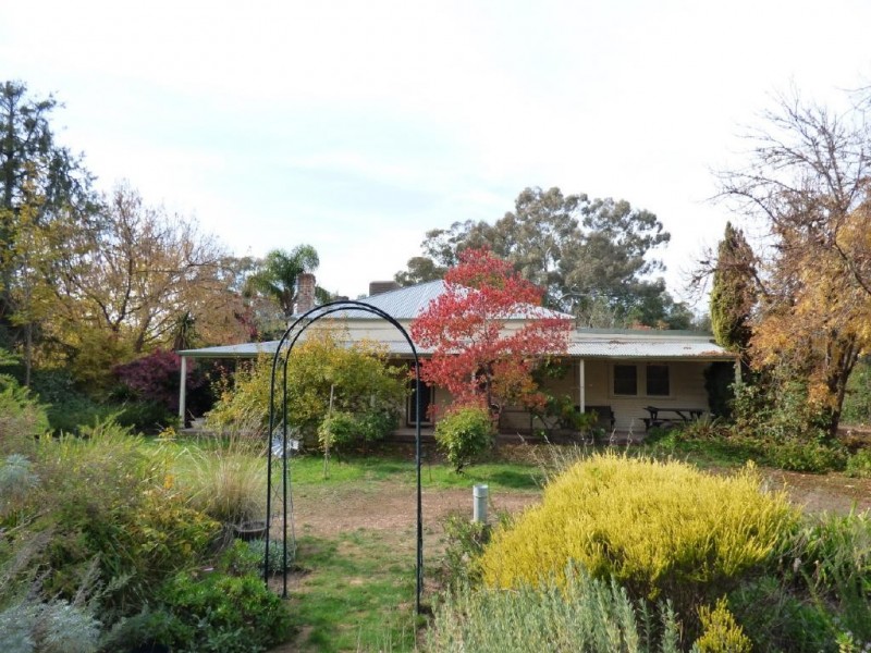 116 Grogan Road, Stockinbingal NSW 2725