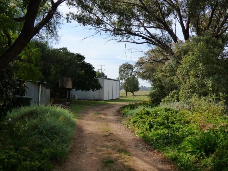 116 Grogan Road, Stockinbingal NSW 2725