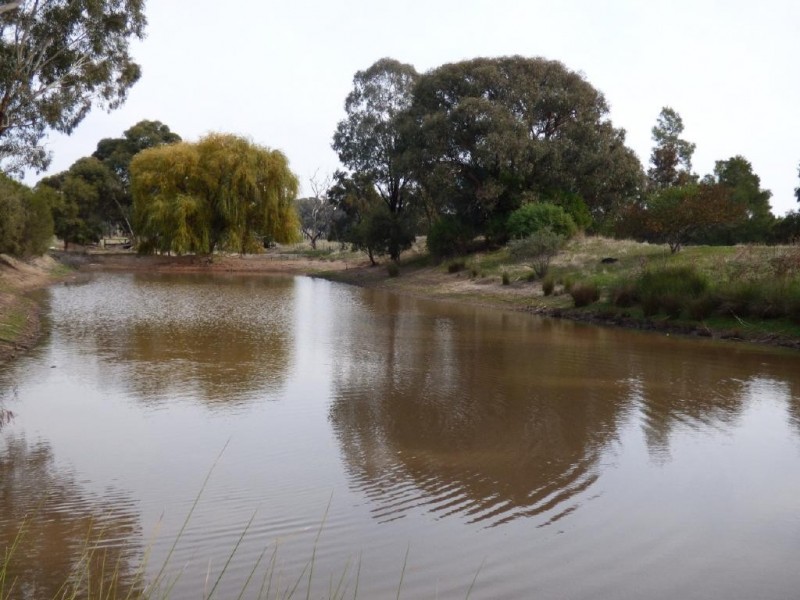 116 Grogan Road, Stockinbingal NSW 2725