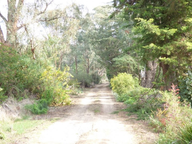 116 Grogan Road, Stockinbingal NSW 2725