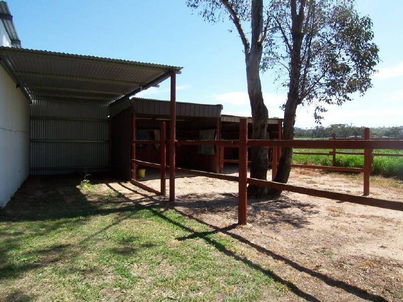 41 Berthong Road, Cootamundra NSW 2590