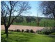 Cootamundra NSW 2590