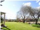 Cootamundra NSW 2590