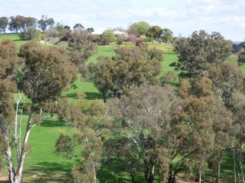 Cootamundra NSW 2590