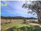 37 Back Brawlin Road, Cootamundra NSW 2590