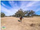 37 Back Brawlin Road, Cootamundra NSW 2590