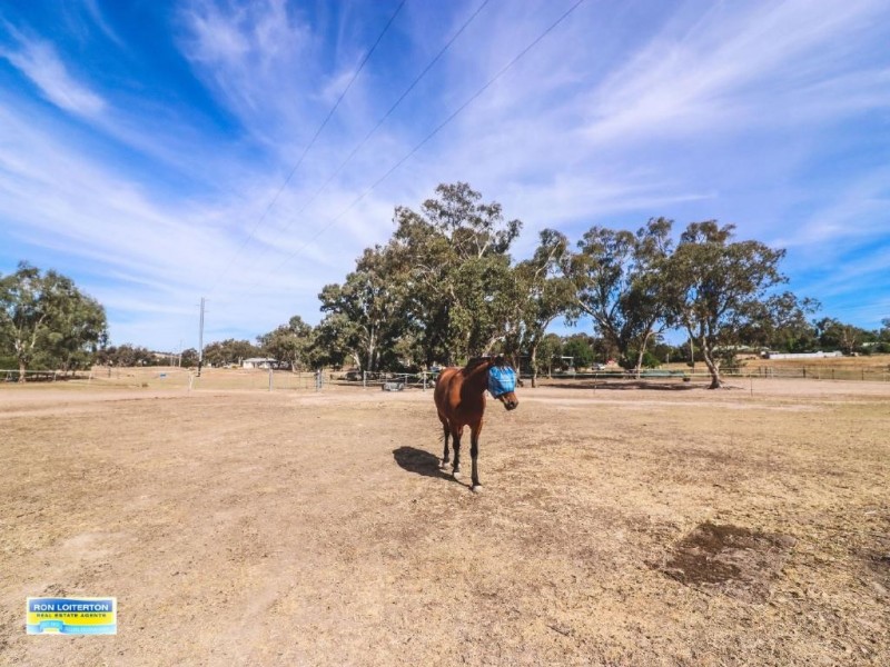37 Back Brawlin Road, Cootamundra NSW 2590