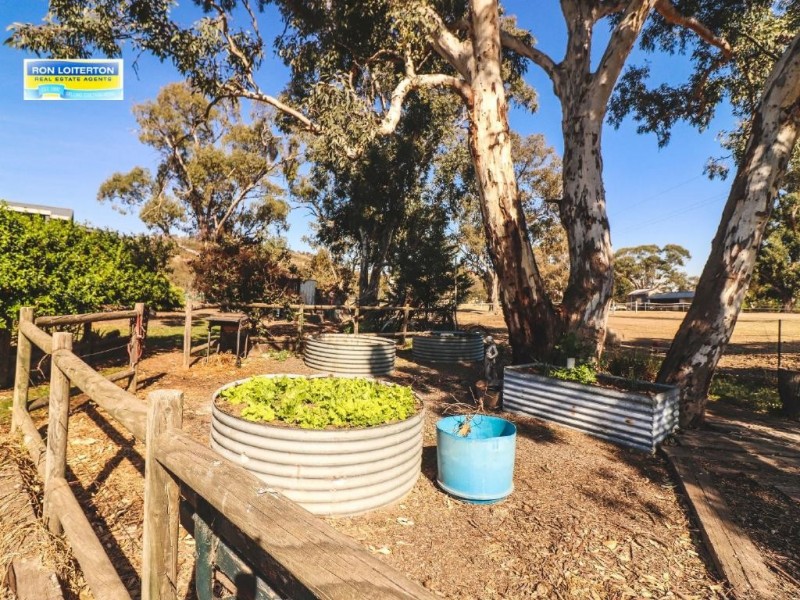 37 Back Brawlin Road, Cootamundra NSW 2590