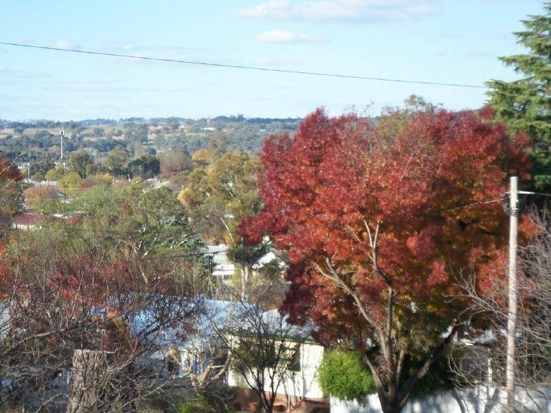 10 Lawrence Street, Cootamundra NSW 2590