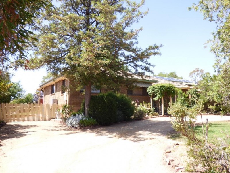 19 Byrne Street, Cootamundra NSW 2590