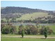 Muttama Road, Cootamundra NSW 2590