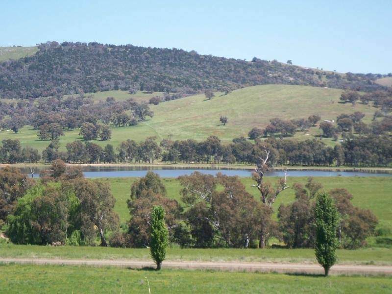 Muttama Road, Cootamundra NSW 2590