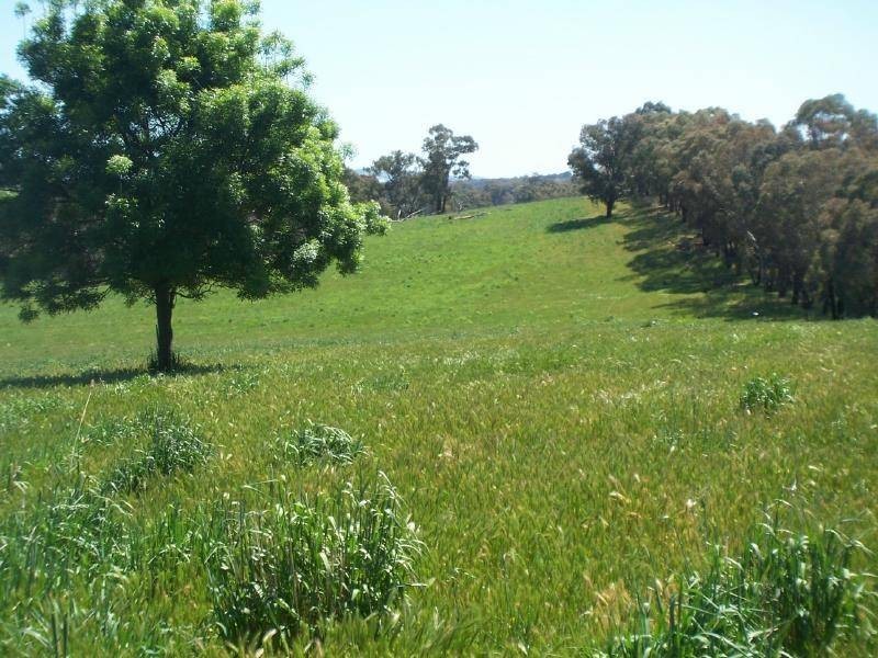 Muttama Road, Cootamundra NSW 2590