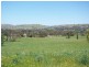 Muttama Road, Cootamundra NSW 2590