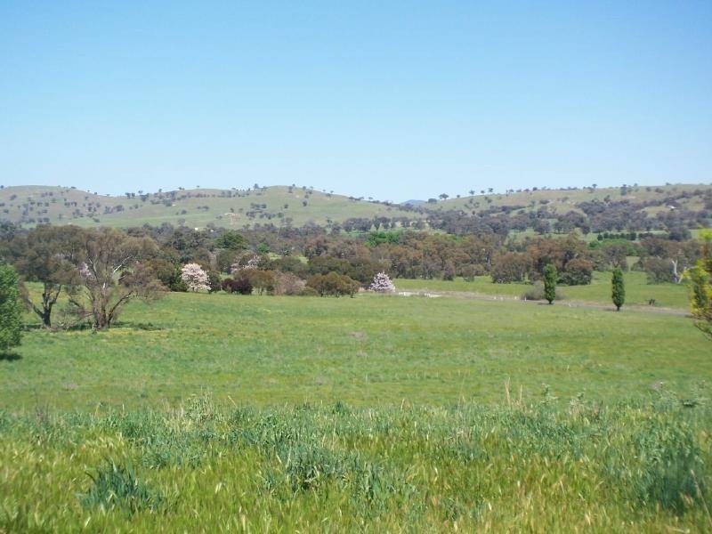 Muttama Road, Cootamundra NSW 2590