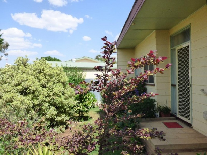 38 Ursula Street, Cootamundra NSW 2590