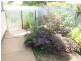 38 Ursula Street, Cootamundra NSW 2590